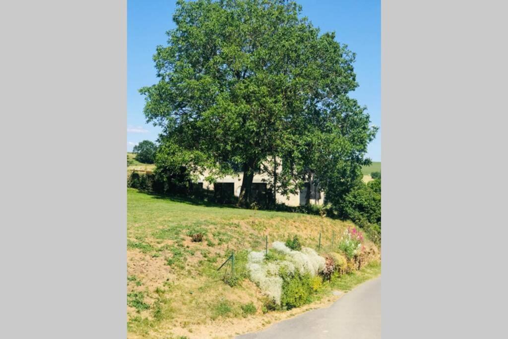 La campagne proche de Charleville-Mezieres This Extérieur photo